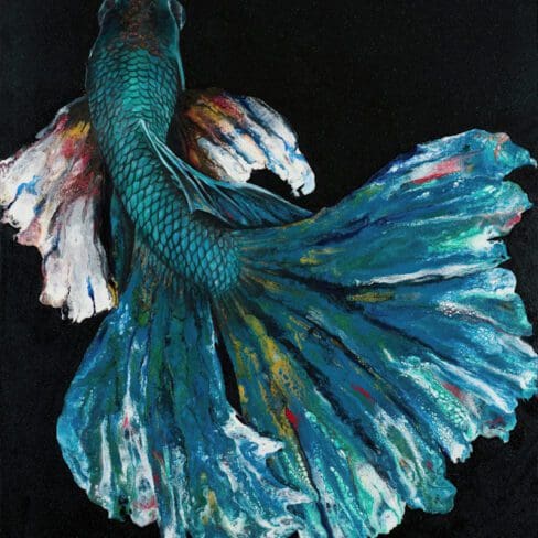 Abalone Betta artworks by monica mmg studio Colorado