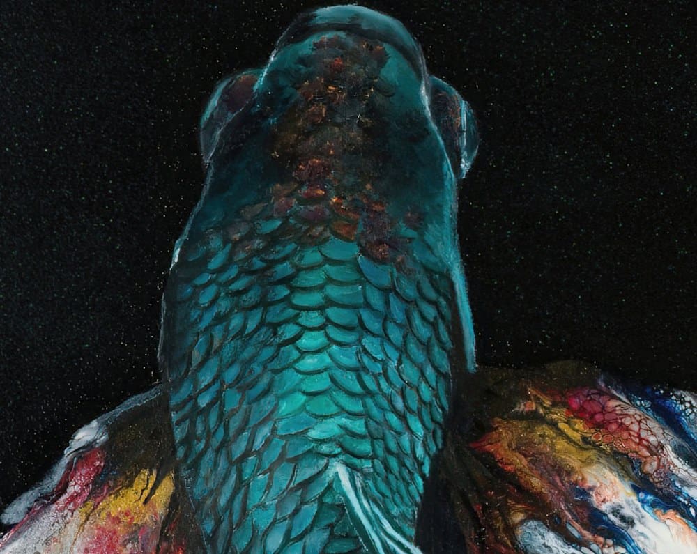 Abalone Betta artworks by monica mmg studio Colorado