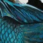 Abalone Betta artworks by monica mmg studio Colorado