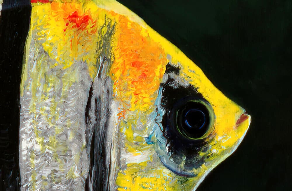 Leveraging my oil and poured acrylic technique, expanding subject to other fish. Several have asked me to try a fresh water Angel fish. The elegance of this fish inspires calmness. A Unique Original Embellished Painting.