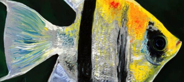 Leveraging my oil and poured acrylic technique, expanding subject to other fish. Several have asked me to try a fresh water Angel fish. The elegance of this fish inspires calmness. A Unique Original Embellished Painting.