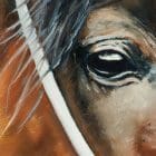 Arabian Elegance Artworks by Monica MMG Arts Studio - Colorado