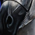 Arabian Lulu Artworks by Monica MMG Arts Studio Colorado