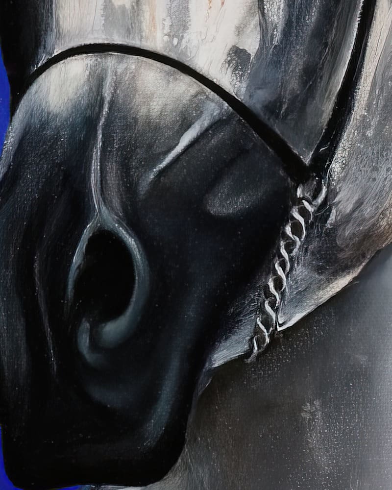 Arabian Lulu Artworks by Monica MMG Arts Studio Colorado