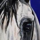 Arabian Lulu Artworks by Monica MMG Arts Studio Colorado