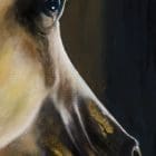 Arabian Show Horse Artworks by Monica in Colorado