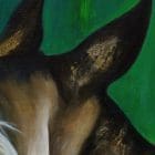 Arabian Show Horse Artworks by Monica in Colorado