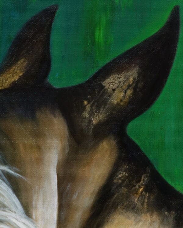 Arabian Show Horse Artworks by Monica in Colorado