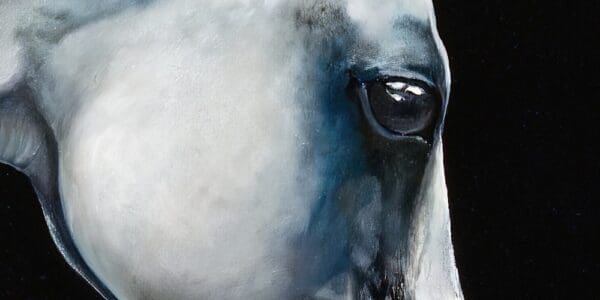 Best Friends, Horses Artworks by Monica MMG Art Studio