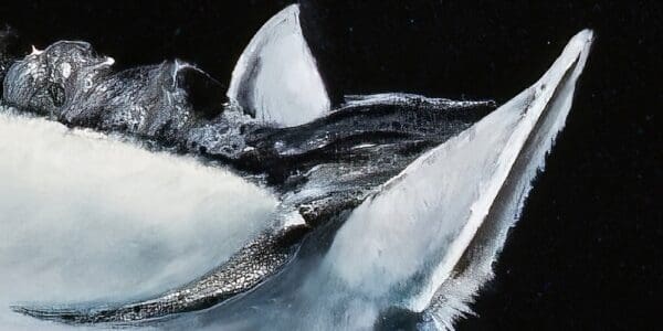 Best Friends, Horses Artworks by Monica MMG Art Studio