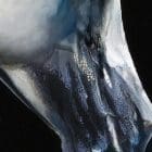 Best Friends, Horses Artworks by Monica MMG Art Studio