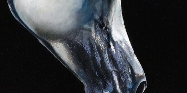 Best Friends, Horses Artworks by Monica MMG Art Studio