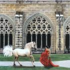 Equestrian Cloisters Artworks by Monica MMg Art Studio - Colorado