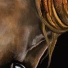 Fire stallion horse artworks by Monica MMG Arts Studio - Colorado