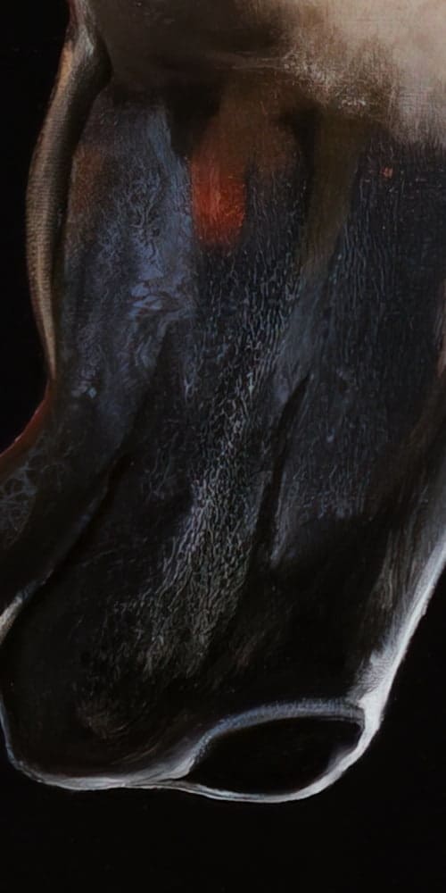 Fire stallion horse artworks by Monica MMG Arts Studio - Colorado