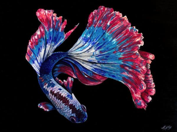 Freedom Betta Artworks by Monica MMG Arts Studio - Colorado