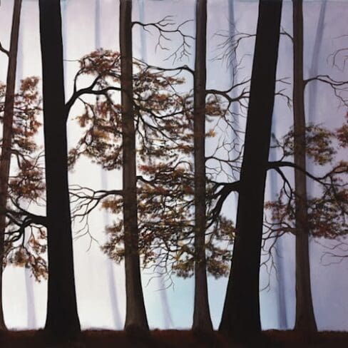 Misty ForesMisty Forest Artworks by Monica - Coloradot Artworks by MOnica - Colorado 1