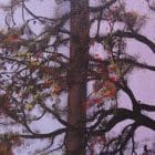 Misty Forest Artworks by Monica - Colorado