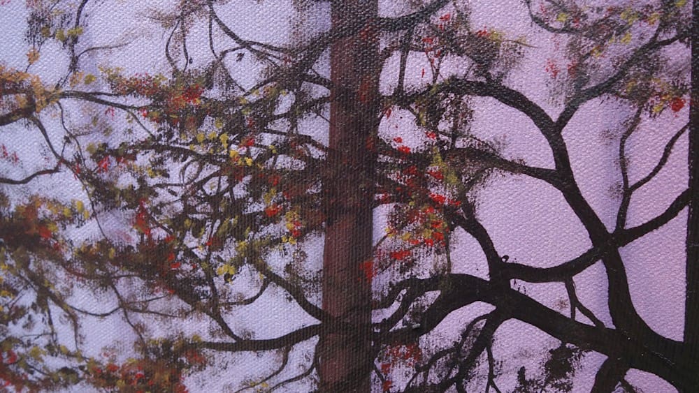 Misty Forest Artworks by Monica - Colorado