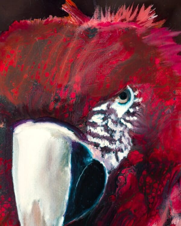 Ode to Scarlet Macaw 2 Artworks by Monica MMG Arts Studio