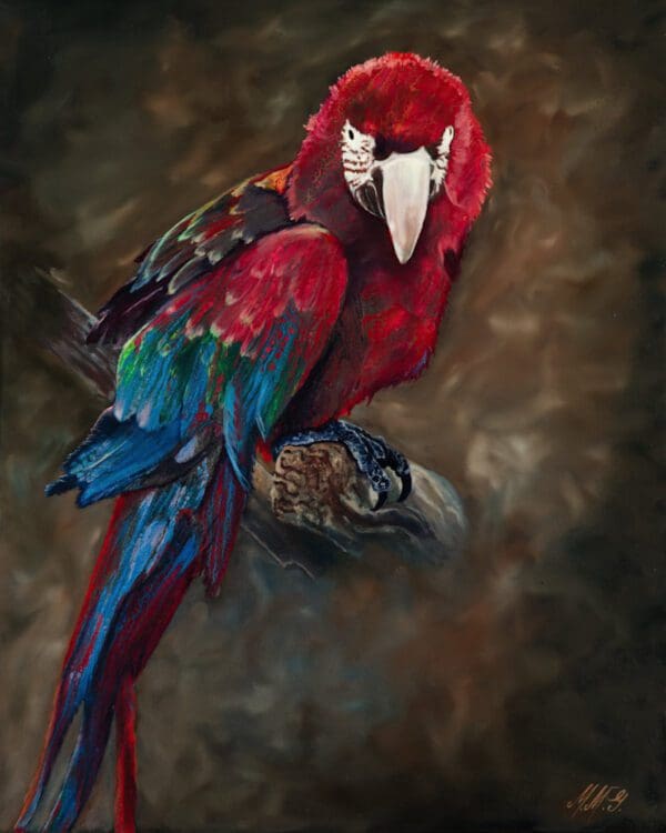 Ode to Scarlet Macaw Artworks by Monica MMG Arts Studio