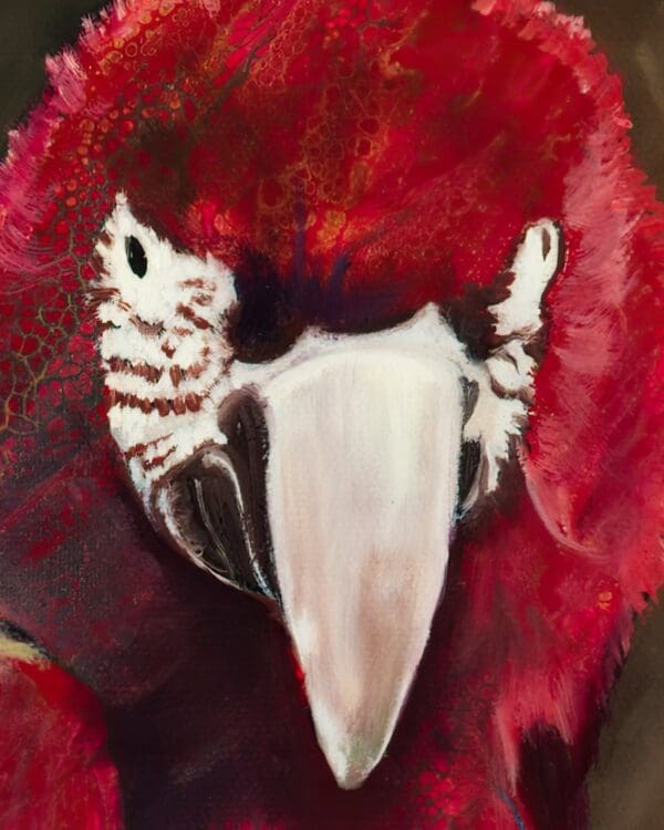 Ode to Scarlet Macaw Artworks by Monica MMG Arts Studio