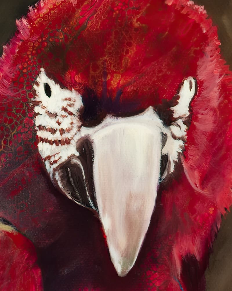 Ode to Scarlet Macaw Artworks by Monica MMG Arts Studio