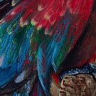 Ode to Scarlet Macaw Artworks by Monica MMG Arts Studio