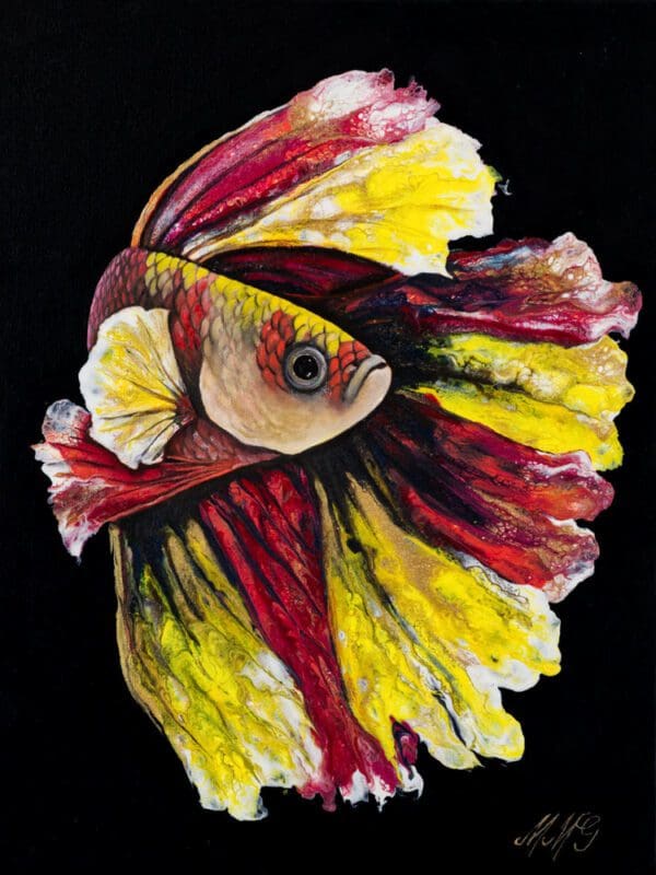 Betta_Web_fish-artworks monica colorado