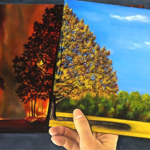 The Butterfly Effect Artwork by Monica - Colorado