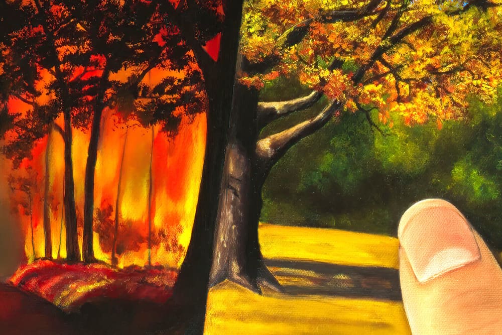 The Butterfly Effect Artwork by Monica - Colorado