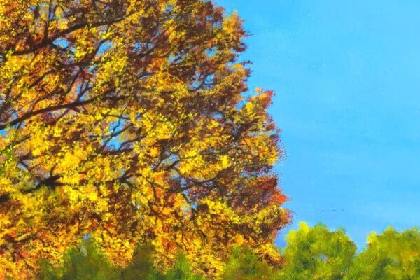 The Butterfly Effect Artwork by Monica - Colorado