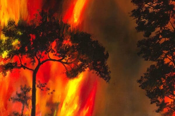 The Butterfly Effect Artwork by Monica - Colorado