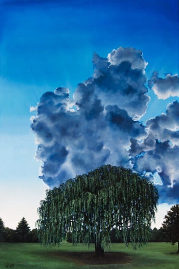 WEEPING-WILLOW-PARK-VIEW-artworks-Fine-Art-By-Monica-Colorado