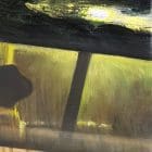 26 1 Down And 1 To Go - Holy Cross Abbey Wine Artwork fine art by Monica Colorado