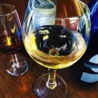 30 Entre Amigos 2 Artwork fine art by Monica Colorado