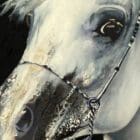 Detailed close-up view of "3 Wise Guys", highlighting the distinct aspects of Fluid Hybrid Realism by Monica Marquez Gatica, Monica Fine Art - Colorado