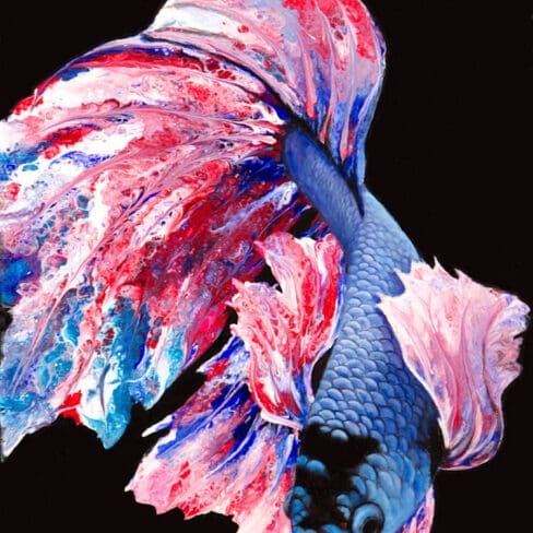 Fancy Betta Fish - Monica Artworks in Denver Colorado buy online Artworks 1