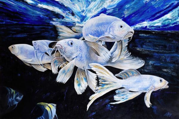 Fish Shoal of light artowrk in Denver Colorado buy online 1