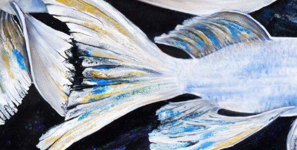 Fish Shoal of light artowrk in Denver Colorado buy online 1