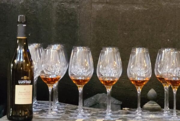 Lustau Fino bottle on the right with a lineup of gleaming wine glasses beside it.